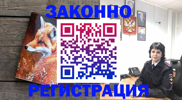 прописка 2025 в Дивногорске
